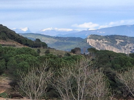 Merci Alain pour ces belles découvertes